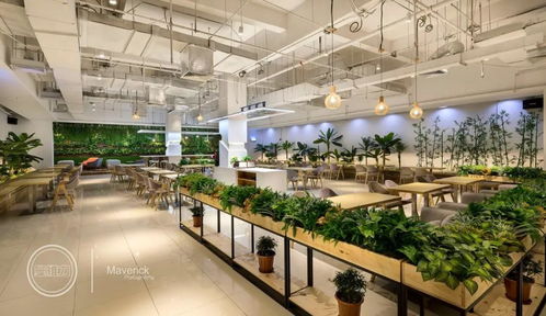 木色,空間設計的首選