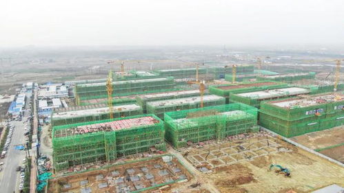 多圖實拍 最新進展來了