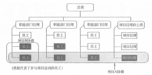 信息系統項目管理師 第二三章 信息系統項目管理基礎與立項管理