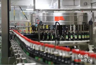 先觀摩后開會 書記 省長率團密集調研企業深意在哪