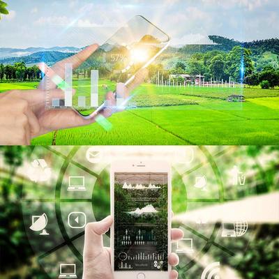 現代智慧農業大棚項目工程建設公司