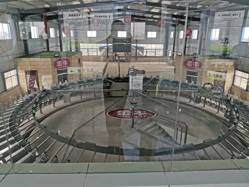 好消息 金牛乳業新工廠即將投入試產