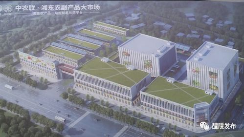 晴天好施工 中農聯 湘東農副產品大市場項目全力推進
