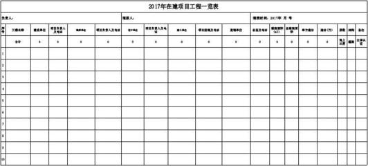 2017年建設單位項目工程信息統計表