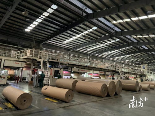 政府搭臺,企業唱戲,東莞市工業和信息化局舉辦包裝產品需求對接活動